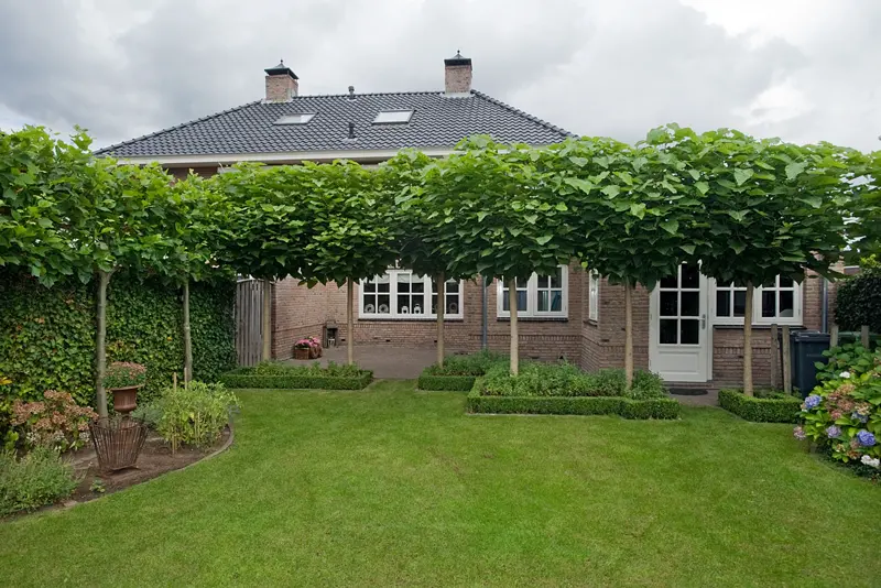 Woning in Rijssen – foto 4